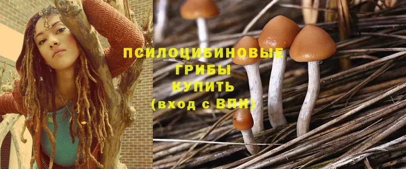 Псилоцибиновые грибы GOLDEN TEACHER  гидра как войти  площадка официальный сайт  Дюртюли 